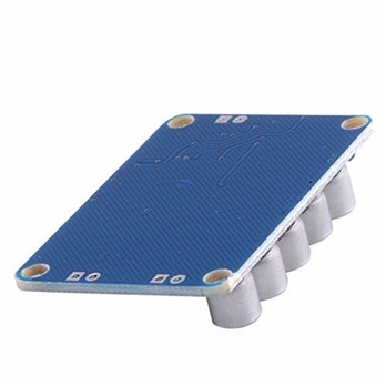 TDA8932 digital amplifier module